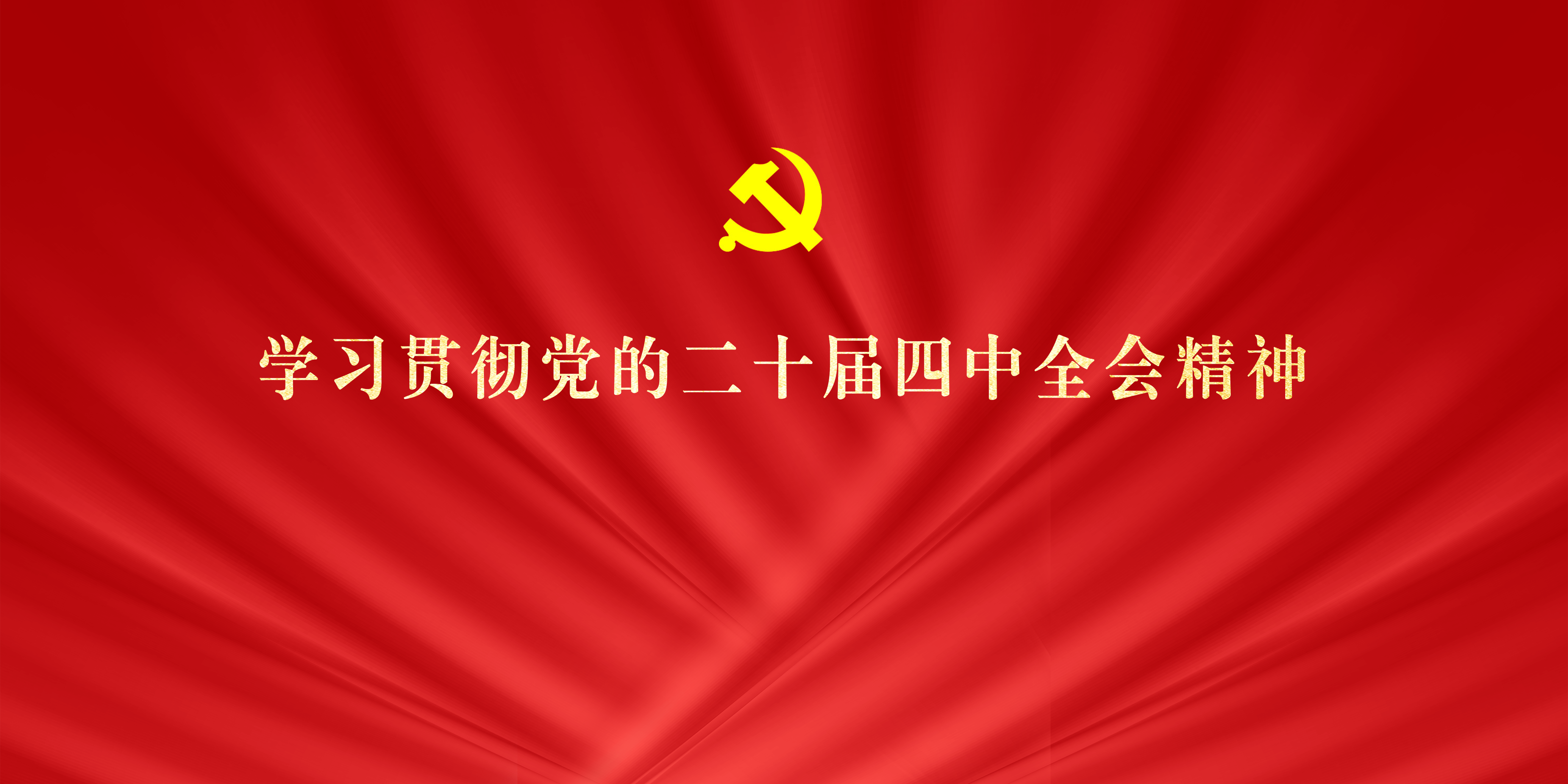 学习贯彻党的二十届四中全会精神